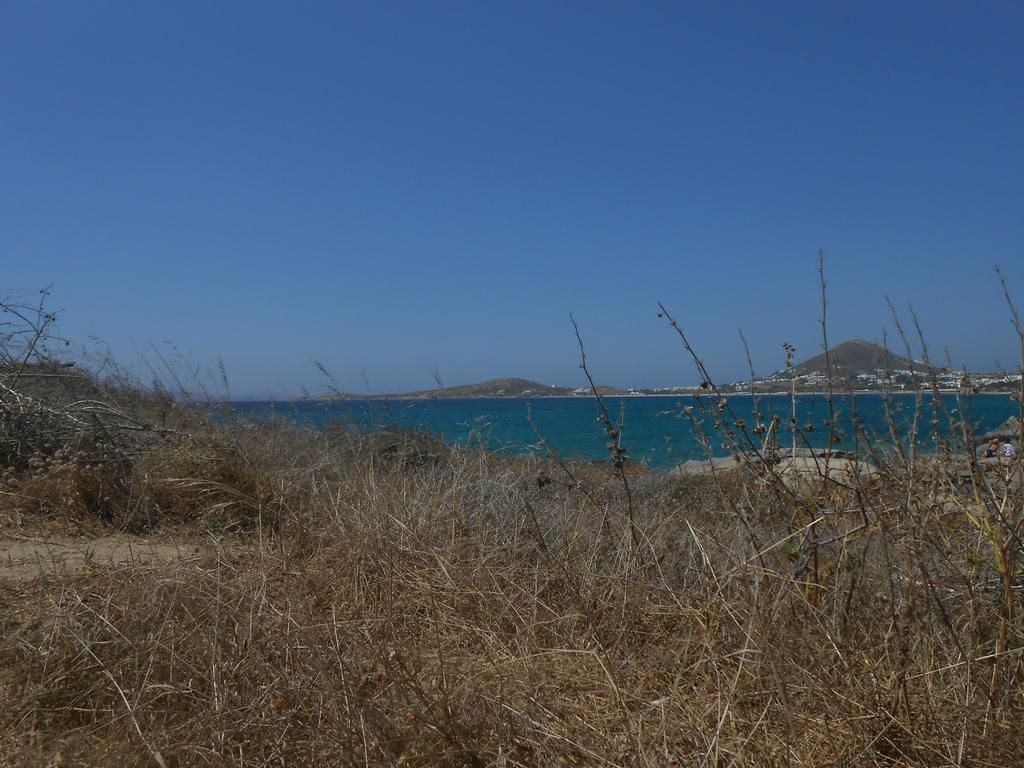 Aparthotel O Fotis Agios Prokopios  Exteriér fotografie